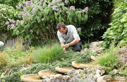 onderhoud in uw tuin