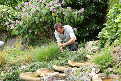 onderhoud in uw tuin